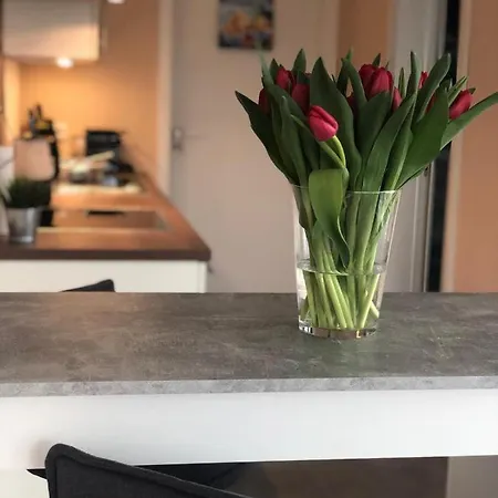 Apartment Guetsel-lodge - δ Gutersloh