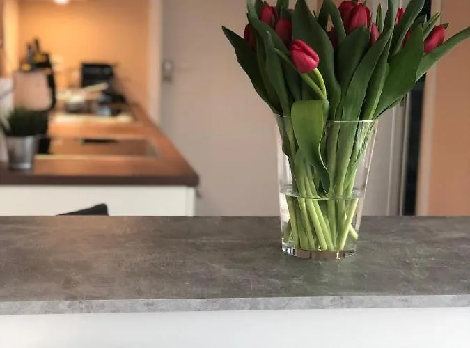 公寓 Guetsel-lodge - δ 居特斯洛